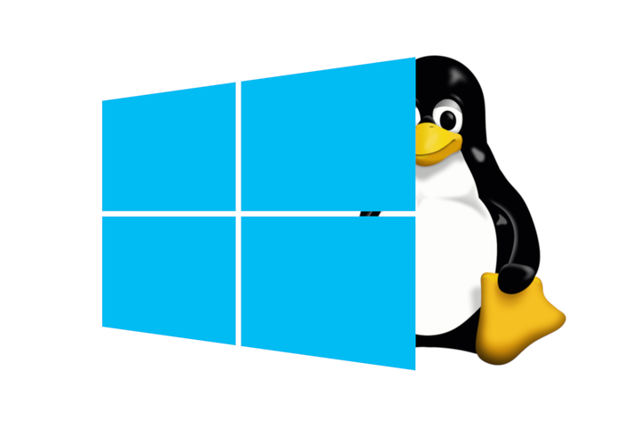 Windows + Linux